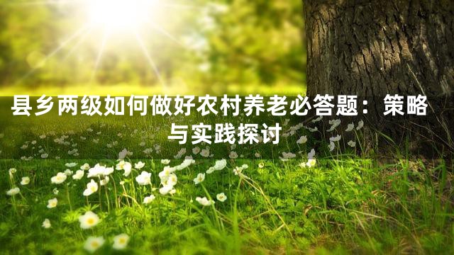 县乡两级如何做好农村养老必答题：策略与实践探讨