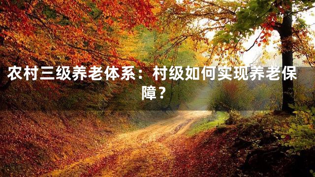 农村三级养老体系：村级如何实现养老保障？