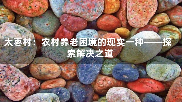 太枣村：农村养老困境的现实一种——探索解决之道
