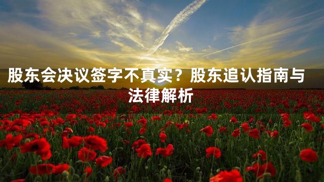 股东会决议签字不真实？股东追认指南与法律解析