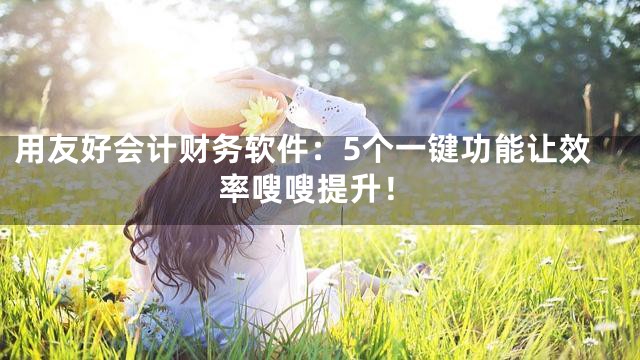用友好会计财务软件：5个一键功能让效率嗖嗖提升！