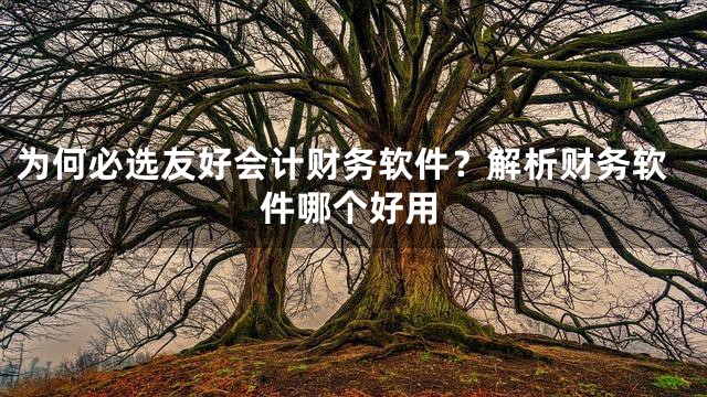为何必选友好会计财务软件？解析财务软件哪个好用