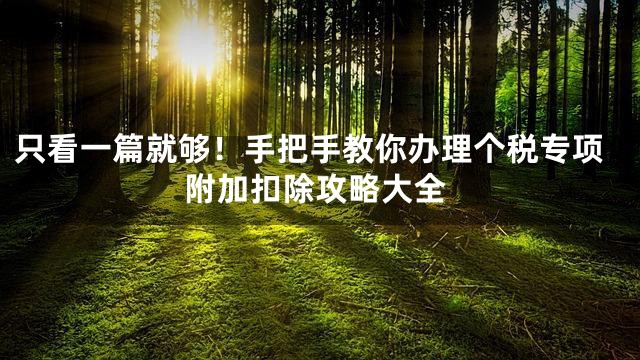 只看一篇就够！手把手教你办理个税专项附加扣除攻略大全