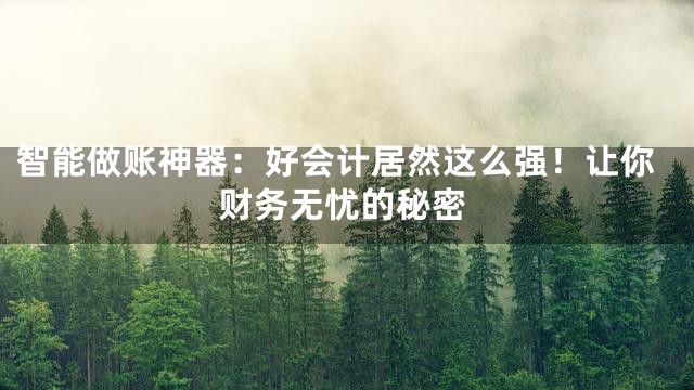 智能做账神器：好会计居然这么强！让你财务无忧的秘密