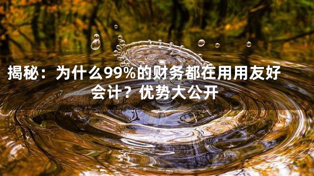 揭秘：为什么99%的财务都在用用友好会计？优势大公开