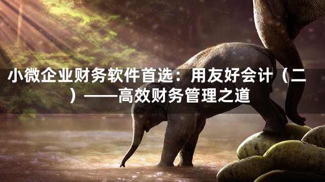 小微企业财务软件首选：用友好会计（二）——高效财务管理之道