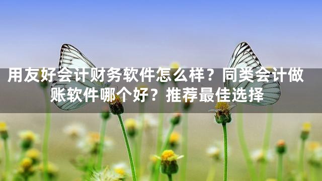 用友好会计财务软件怎么样？同类会计做账软件哪个好？推荐最佳选择
