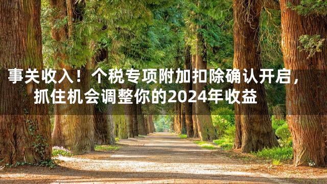事关收入！个税专项附加扣除确认开启，抓住机会调整你的2024年收益