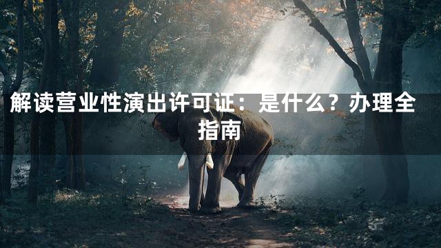 解读营业性演出许可证：是什么？办理全指南