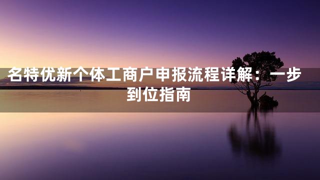 名特优新个体工商户申报流程详解：一步到位指南