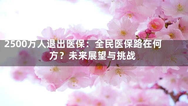 2500万人退出医保：全民医保路在何方？未来展望与挑战