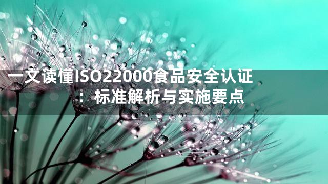 一文读懂ISO22000食品安全认证：标准解析与实施要点