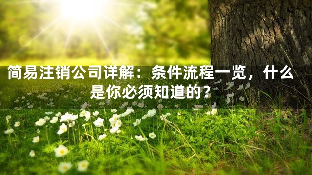 简易注销公司详解：条件流程一览，什么是你必须知道的？