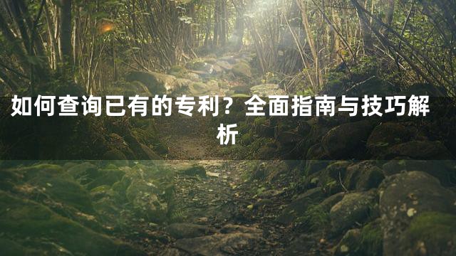 如何查询已有的专利？全面指南与技巧解析