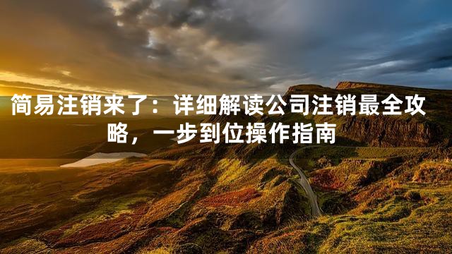 简易注销来了：详细解读公司注销最全攻略，一步到位操作指南