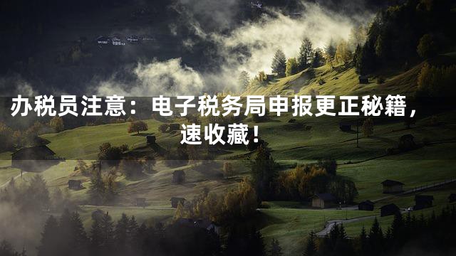 办税员注意：电子税务局申报更正秘籍，速收藏！