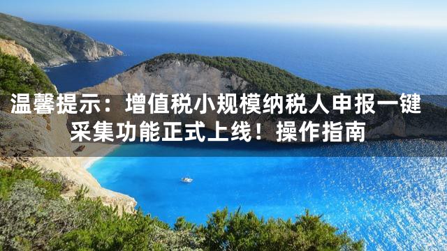 温馨提示：增值税小规模纳税人申报一键采集功能正式上线！操作指南