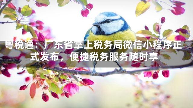 粤税通：广东省掌上税务局微信小程序正式发布，便捷税务服务随时享