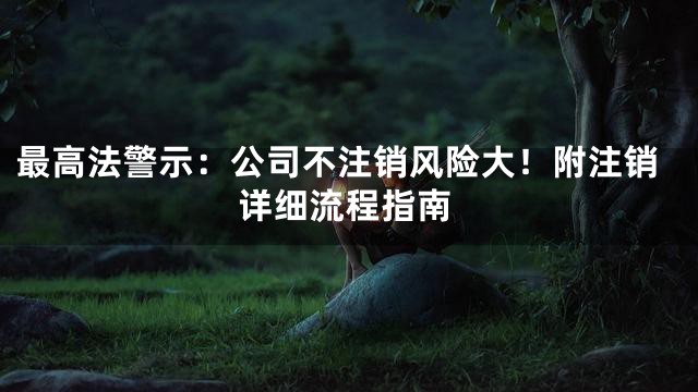 最高法警示：公司不注销风险大！附注销详细流程指南