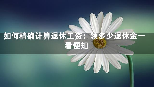如何精确计算退休工资：领多少退休金一看便知