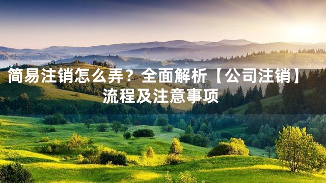 简易注销怎么弄？全面解析【公司注销】流程及注意事项