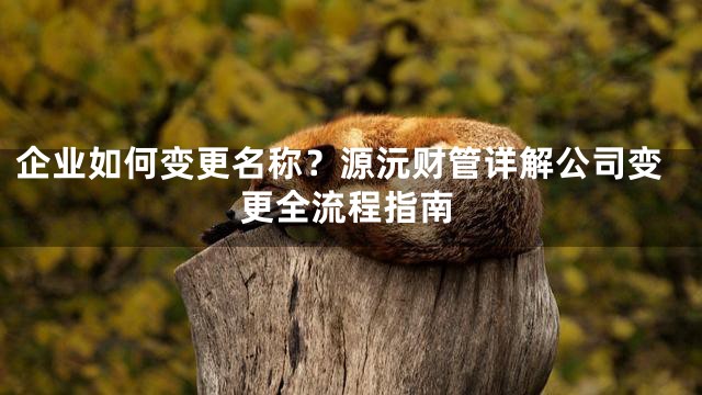 企业如何变更名称？源沅财管详解公司变更全流程指南