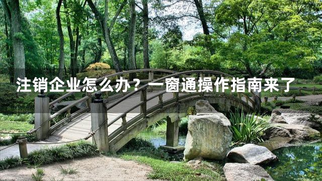 注销企业怎么办？一窗通操作指南来了