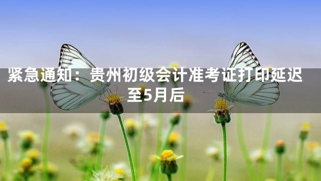 紧急通知：贵州初级会计准考证打印延迟至5月后