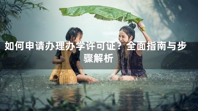 如何申请办理办学许可证？全面指南与步骤解析