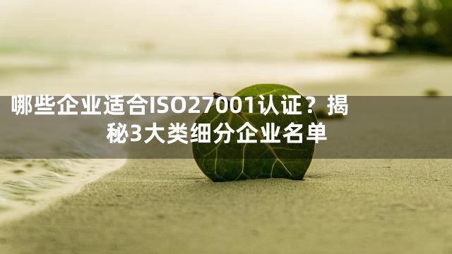 哪些企业适合ISO27001认证？揭秘3大类细分企业名单