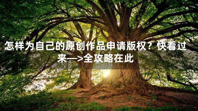 怎样为自己的原创作品申请版权？快看过来—>全攻略在此
