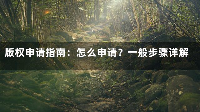 版权申请指南：怎么申请？一般步骤详解