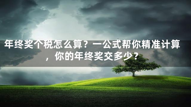 年终奖个税怎么算？一公式帮你精准计算，你的年终奖交多少？