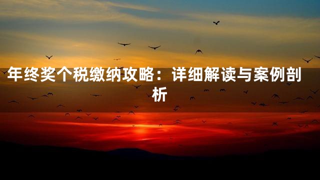 年终奖个税缴纳攻略：详细解读与案例剖析