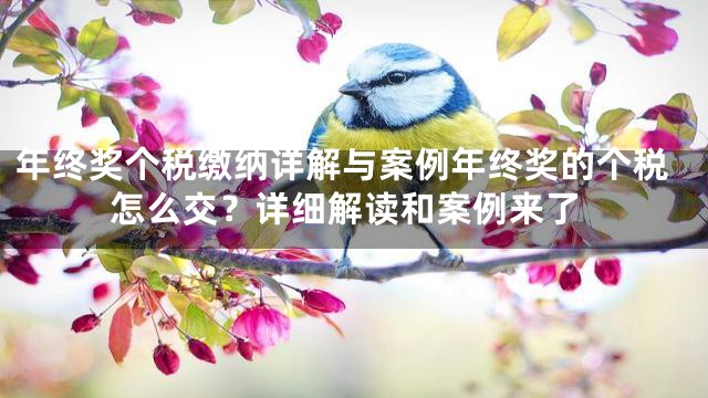 年终奖个税缴纳详解与案例年终奖的个税怎么交？详细解读和案例来了