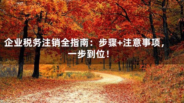 企业税务注销全指南：步骤+注意事项，一步到位！