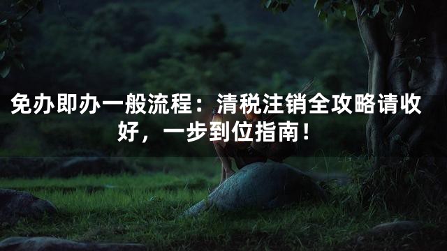 免办即办一般流程：清税注销全攻略请收好，一步到位指南！