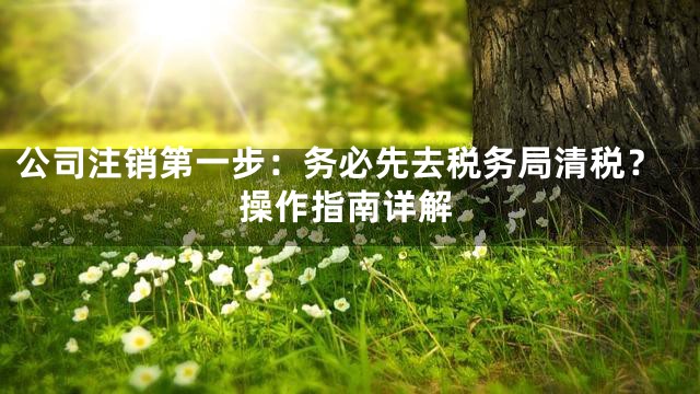 公司注销第一步：务必先去税务局清税？操作指南详解