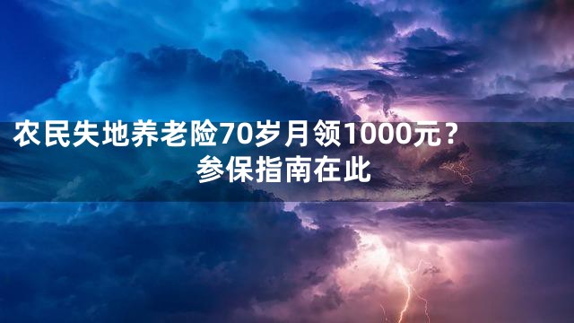 农民失地养老险70岁月领1000元？参保指南在此