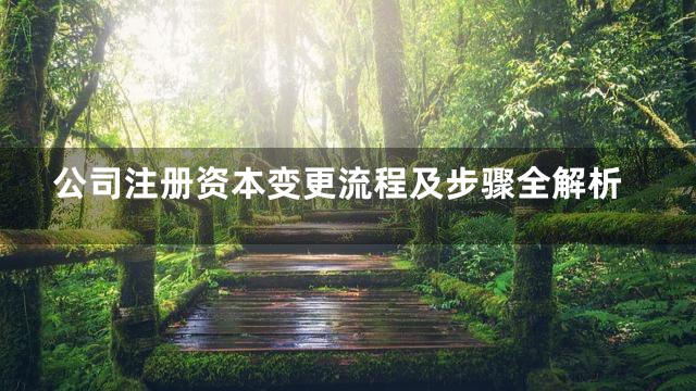 公司注册资本变更流程及步骤全解析