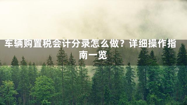 车辆购置税会计分录怎么做？详细操作指南一览
