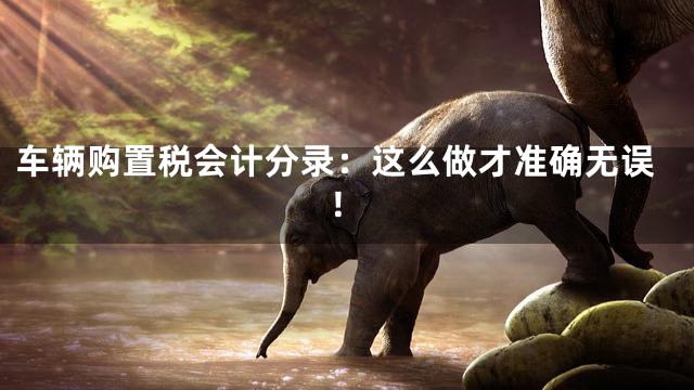 车辆购置税会计分录：这么做才准确无误！