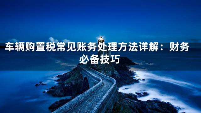 车辆购置税常见账务处理方法详解：财务必备技巧