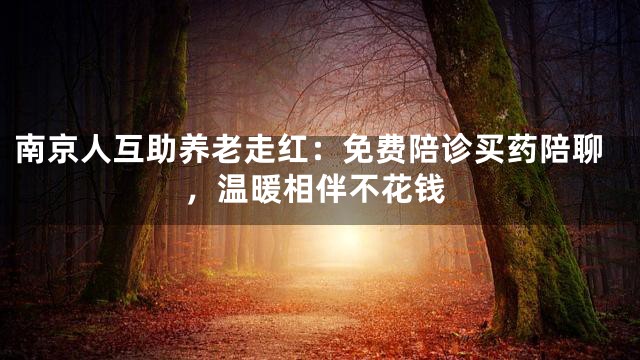 南京人互助养老走红：免费陪诊买药陪聊，温暖相伴不花钱