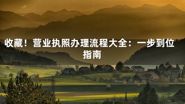 收藏！营业执照办理流程大全：一步到位指南