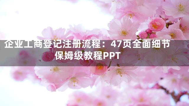 企业工商登记注册流程：47页全面细节保姆级教程PPT