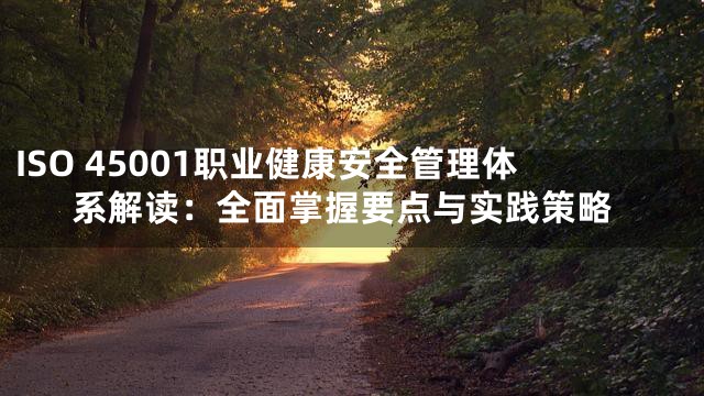 ISO 45001职业健康安全管理体系解读：全面掌握要点与实践策略