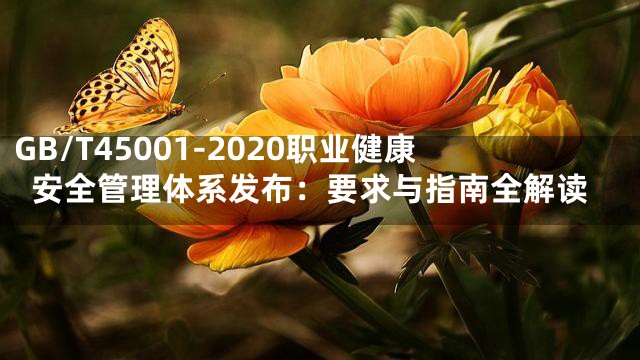 GB/T45001-2020职业健康安全管理体系发布：要求与指南全解读