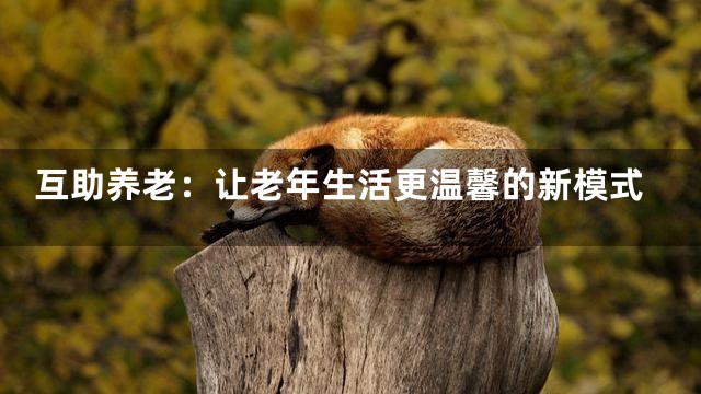 互助养老：让老年生活更温馨的新模式