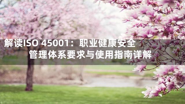 解读ISO 45001：职业健康安全管理体系要求与使用指南详解